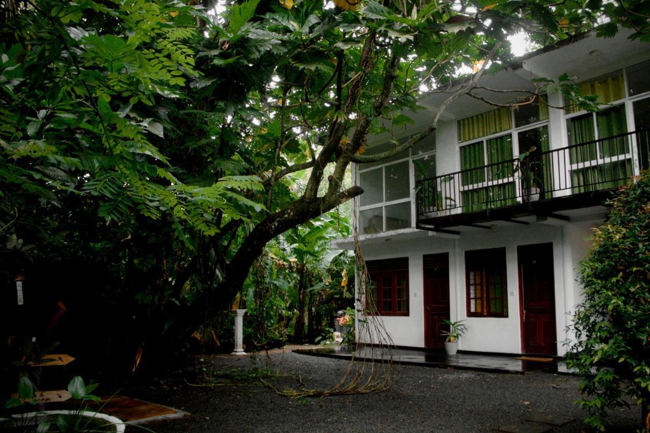 Bananas Mirissa Hotel Exterior photo